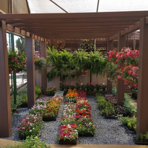 Pergolado 4 colunas (45)